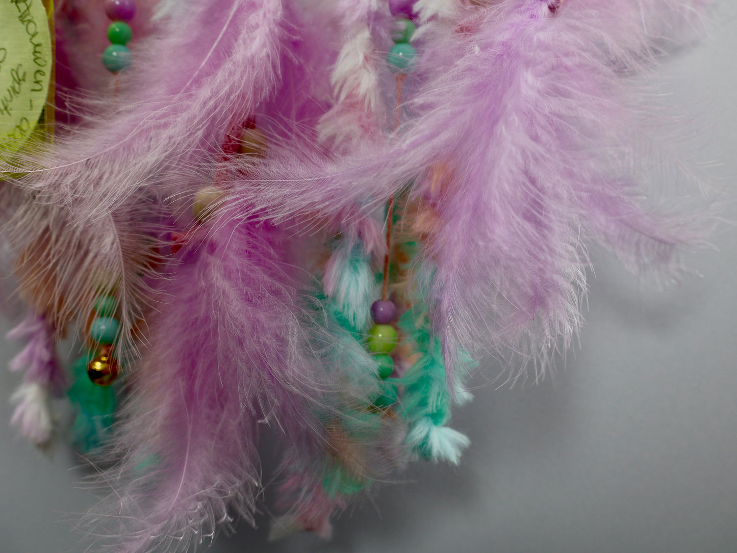 Soft Coral