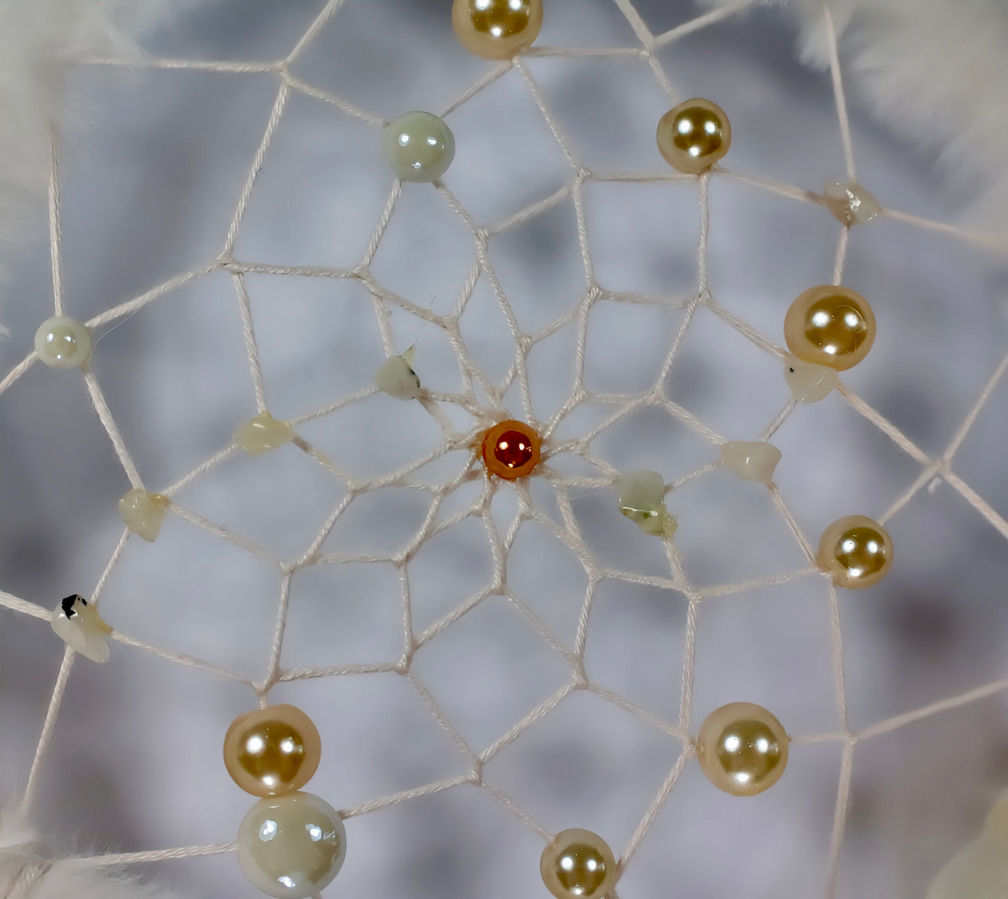 Sunlit Web
