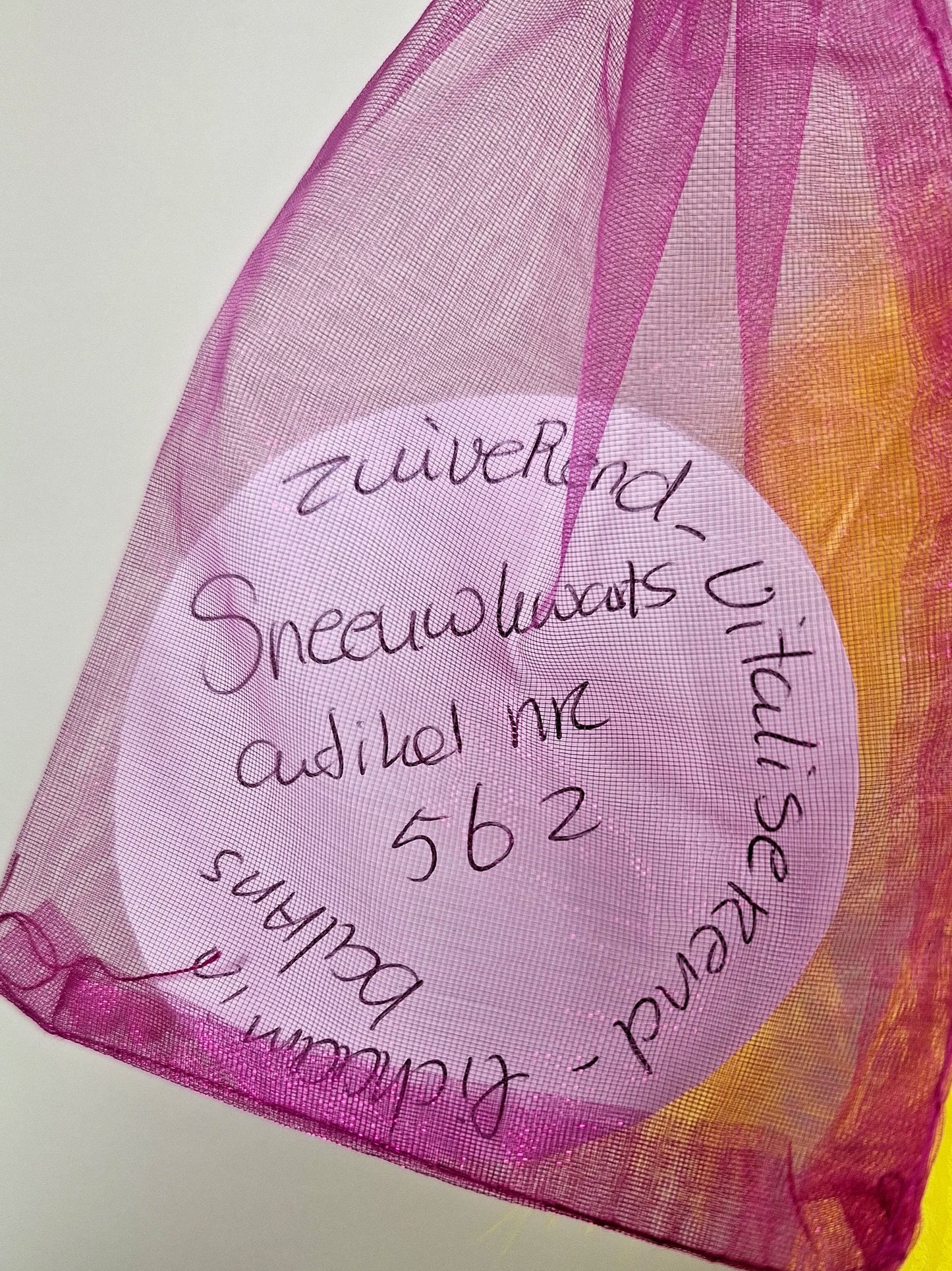 Butterfly - Sneeuwkwarts