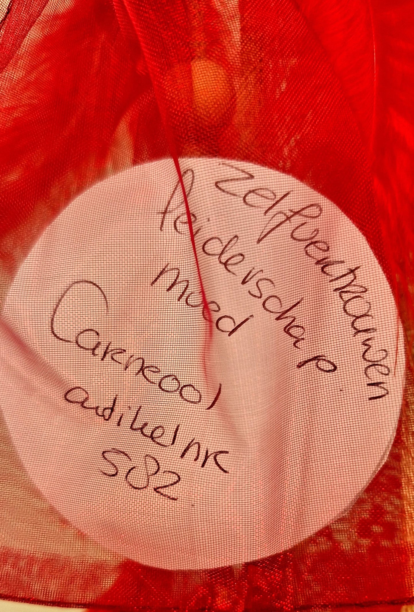 Twiglightlove - Carneool